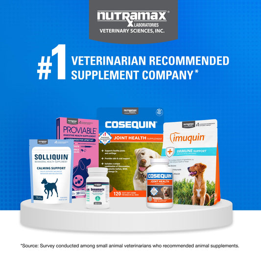 Nutramax Cosequin for Dogs Joint Health Supplement, Contains Glucosamine for Dogs, Plus Chondroitin and MSM, Supports Healthy Joints, Chewable Tablets, 132 Count