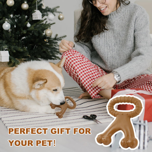 Amazon Cross-border New Dog Interactive Toy Pet Chew Dog Bite Simulation Nylon Toy Molar Dog Bones