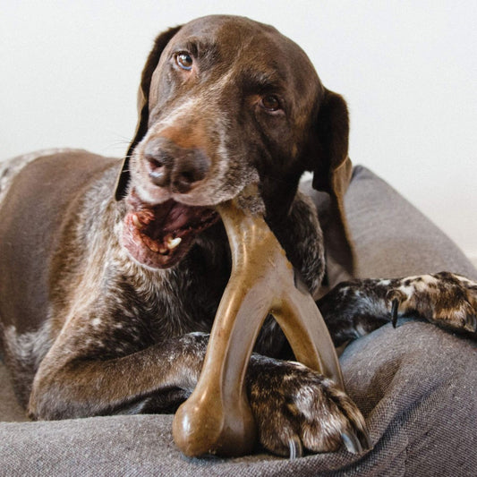 Factory In-Stock Pet Dog Chew Sticks Durable Chew Toys Suitable For Aggressive Pet Dogs