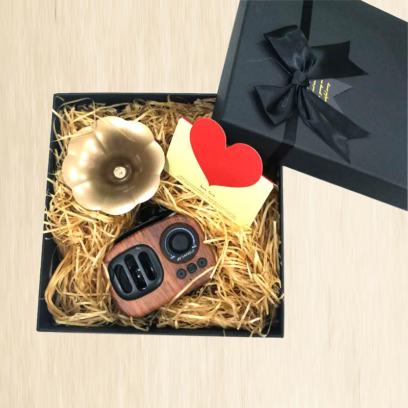 Gramophone small speaker Light Brown gift box