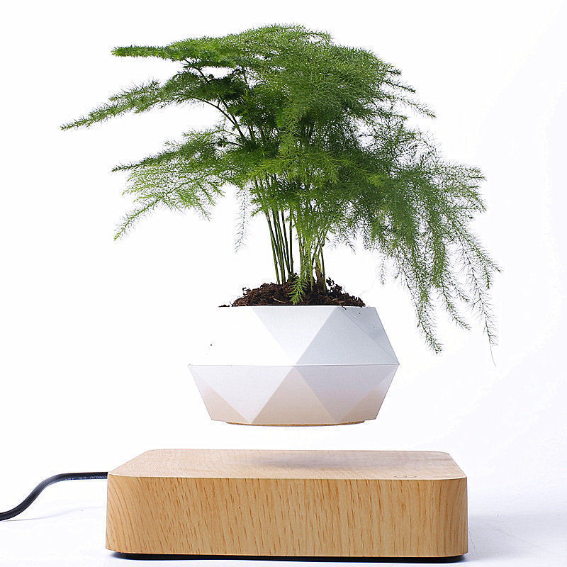 Magnetic Floating Bonsai Floating Plant Rack, Fashion Creative Gifts, Christmas Or Birthday Gifts Light wood grain lower seat 17X3CM