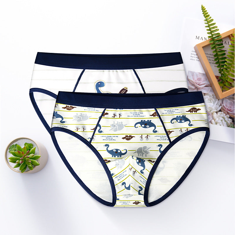 Boy's Underwear Boxer Cotton Children's Underwear D