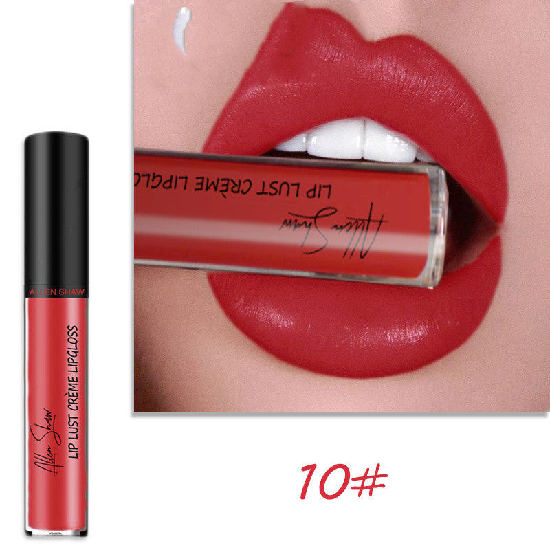 Silky Cream Texture Lip Gloss Aliexpress Shopee Cross-Border Exclusive Lip Glaze Lip Gloss Lipstick 10 color