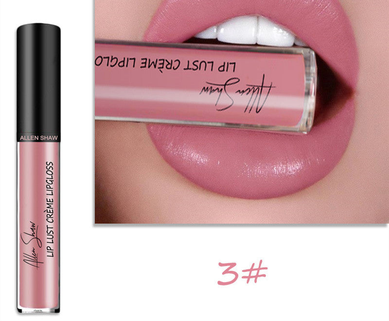 Silky Cream Texture Lip Gloss Aliexpress Shopee Cross-Border Exclusive Lip Glaze Lip Gloss Lipstick 3 color