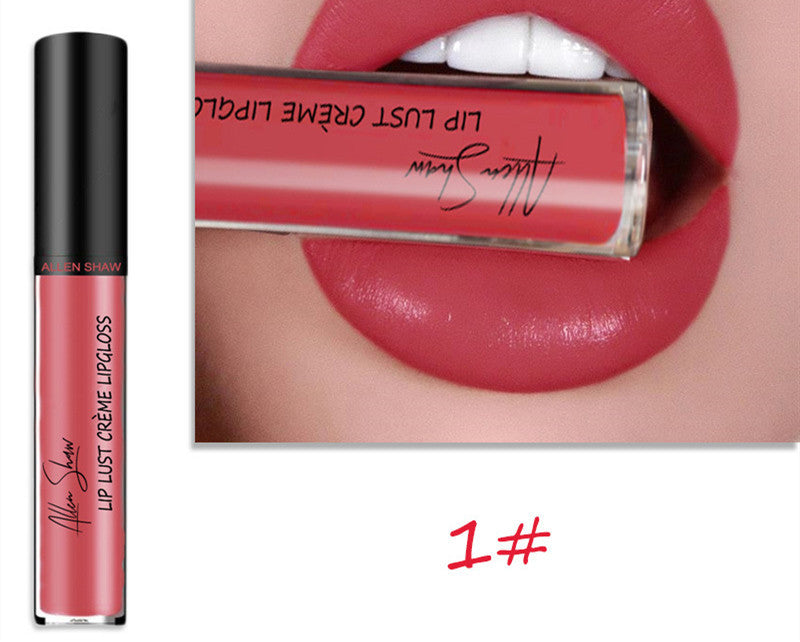 Silky Cream Texture Lip Gloss Aliexpress Shopee Cross-Border Exclusive Lip Glaze Lip Gloss Lipstick 1 color