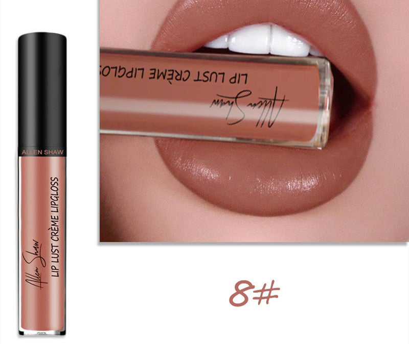 Silky Cream Texture Lip Gloss Aliexpress Shopee Cross-Border Exclusive Lip Glaze Lip Gloss Lipstick 8 color