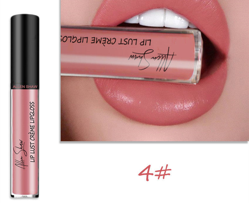 Silky Cream Texture Lip Gloss Aliexpress Shopee Cross-Border Exclusive Lip Glaze Lip Gloss Lipstick 4 color