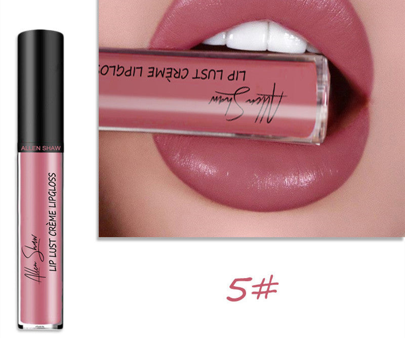 Silky Cream Texture Lip Gloss Aliexpress Shopee Cross-Border Exclusive Lip Glaze Lip Gloss Lipstick 5 color