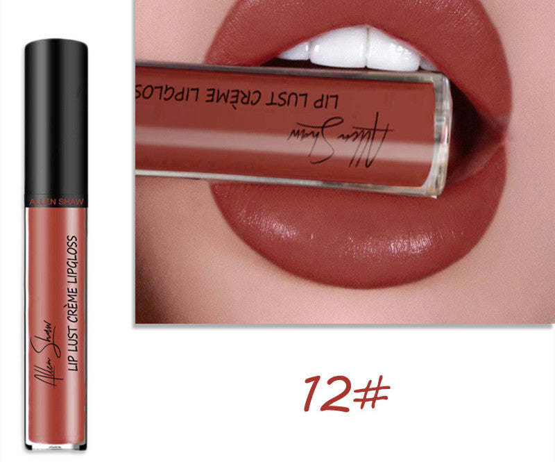 Silky Cream Texture Lip Gloss Aliexpress Shopee Cross-Border Exclusive Lip Glaze Lip Gloss Lipstick 12 color