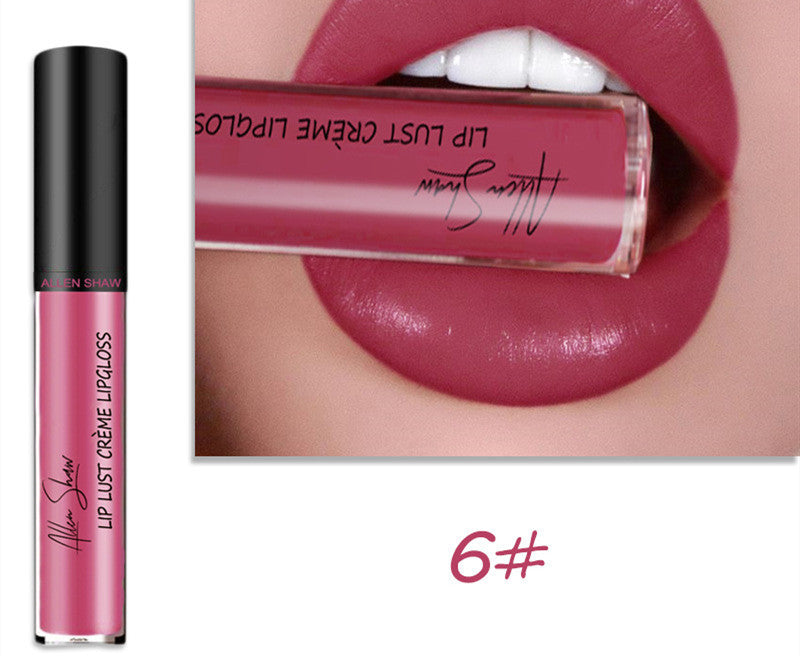 Silky Cream Texture Lip Gloss Aliexpress Shopee Cross-Border Exclusive Lip Glaze Lip Gloss Lipstick 6 color