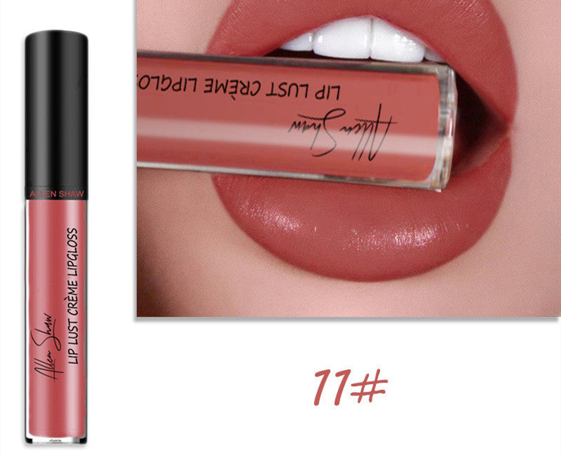 Silky Cream Texture Lip Gloss Aliexpress Shopee Cross-Border Exclusive Lip Glaze Lip Gloss Lipstick 11 color
