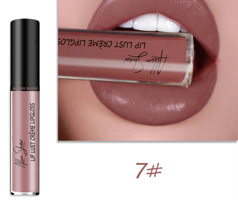 Silky Cream Texture Lip Gloss Aliexpress Shopee Cross-Border Exclusive Lip Glaze Lip Gloss Lipstick 7 color