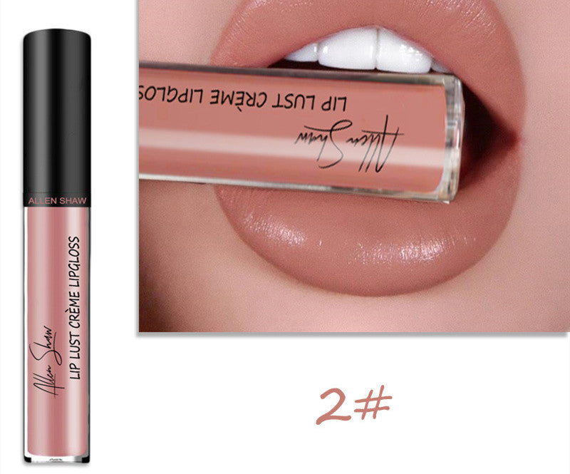 Silky Cream Texture Lip Gloss Aliexpress Shopee Cross-Border Exclusive Lip Glaze Lip Gloss Lipstick 2 color