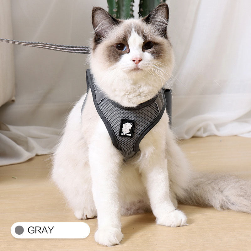 Anti-strike cat traction cat harness Grey