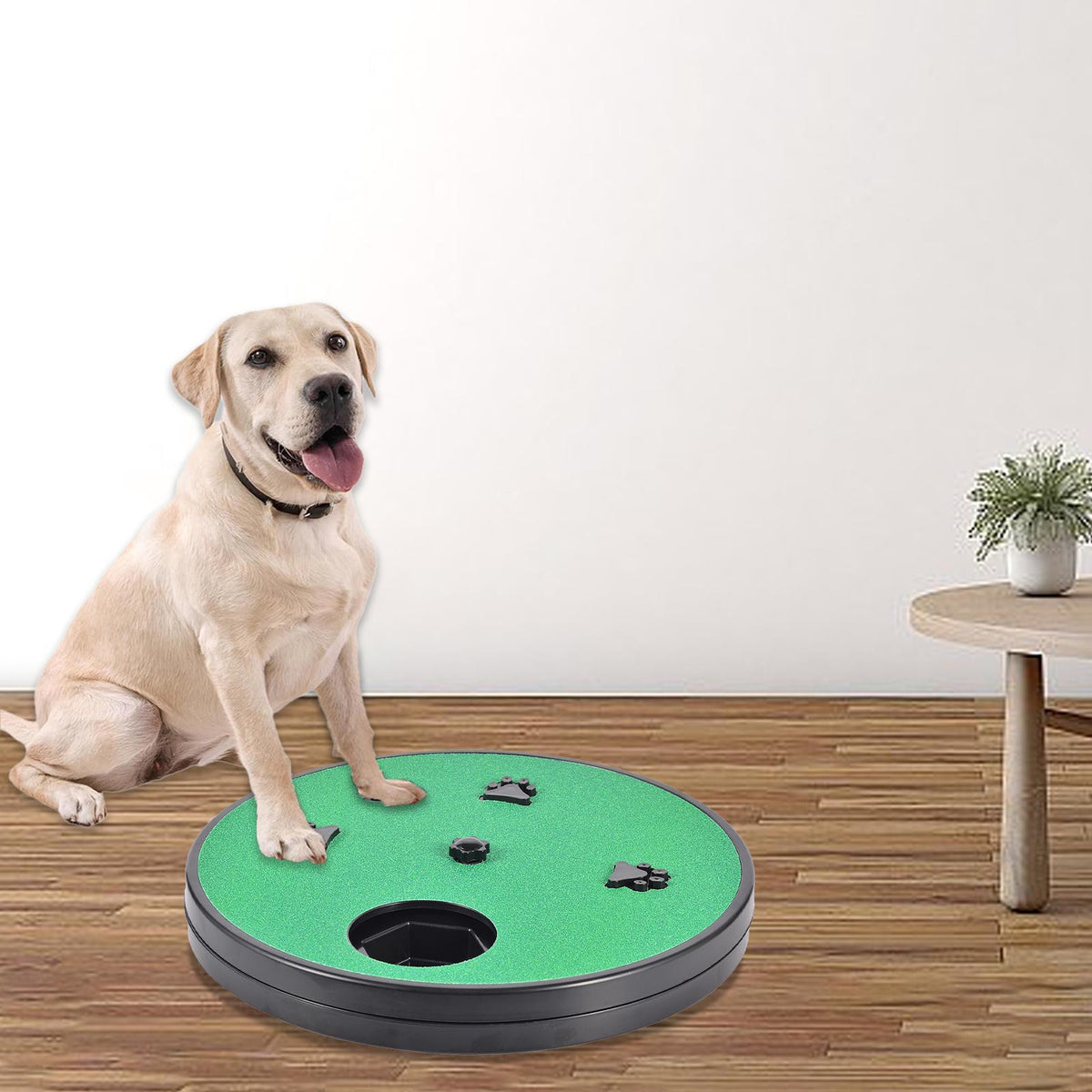 Pet Supplies Dog Nail Scraper Slow Food Toys Rotatable Sandpaper Repair Nail File Board With Suction Cup Dog Scratching Board