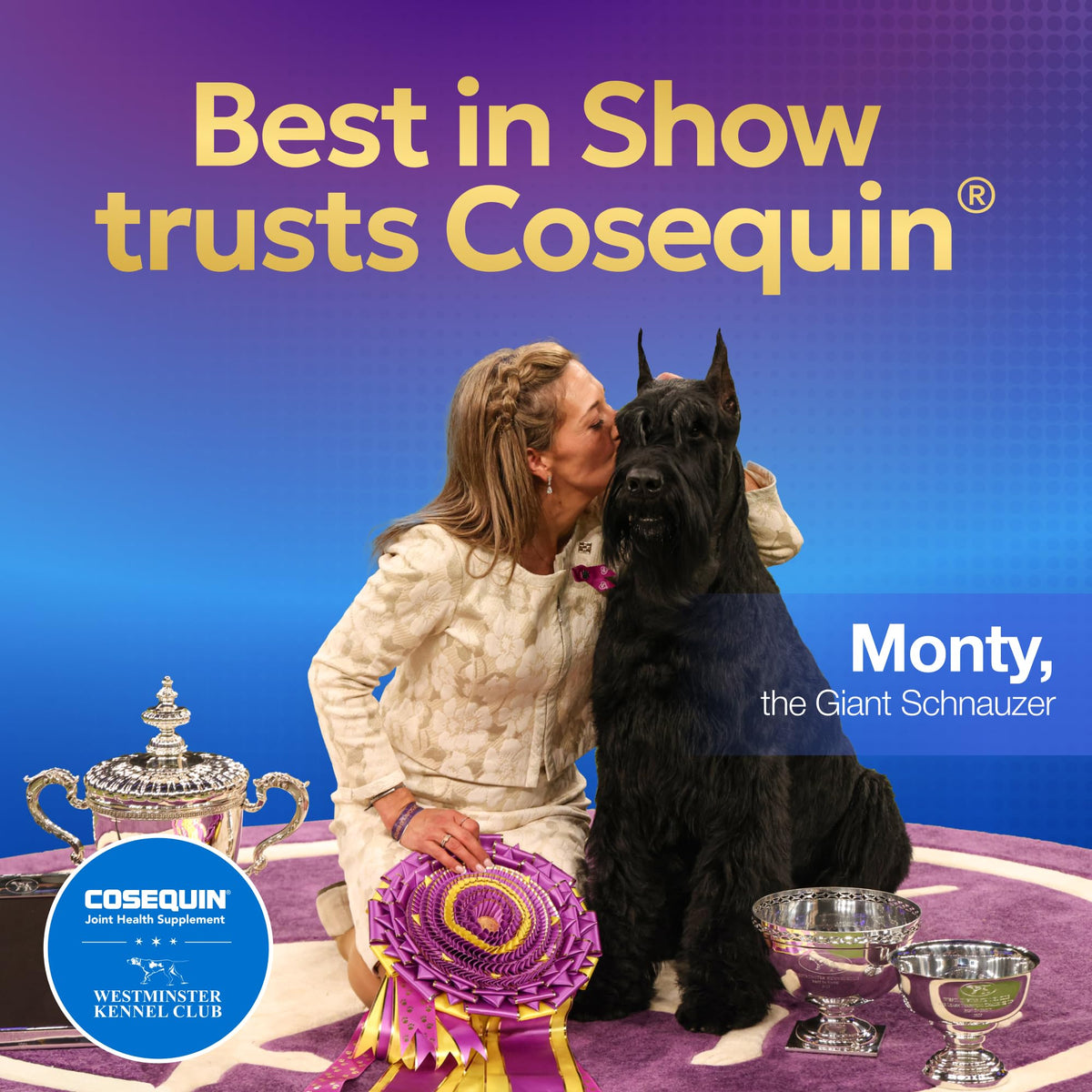 Nutramax Cosequin for Dogs Joint Health Supplement, Contains Glucosamine for Dogs, Plus Chondroitin and MSM, Supports Healthy Joints, Chewable Tablets, 132 Count